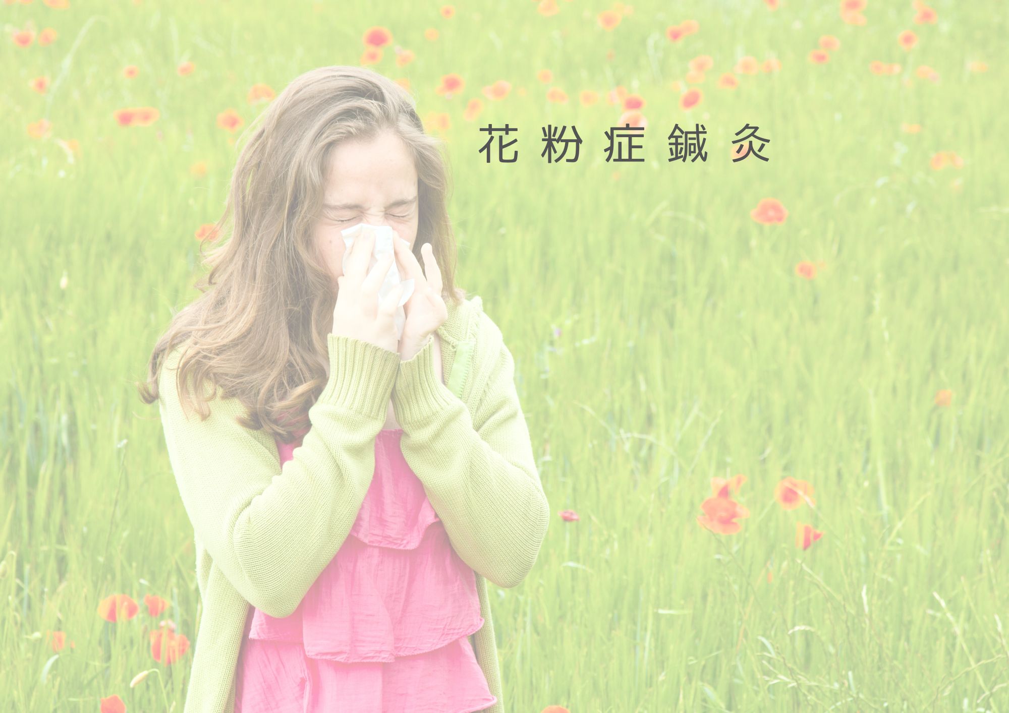 季節menu  花粉症鍼灸