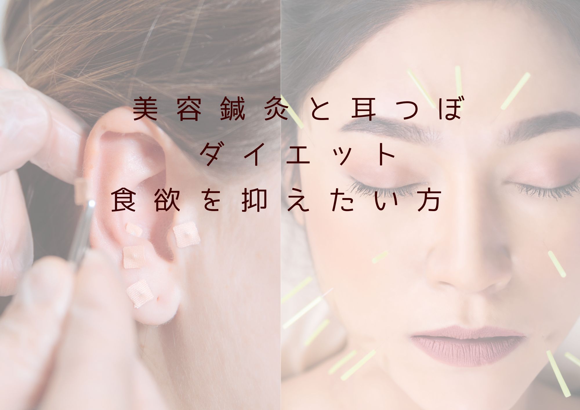 2回目以降　美容鍼灸+耳つぼmenu 　食欲を抑えたい方