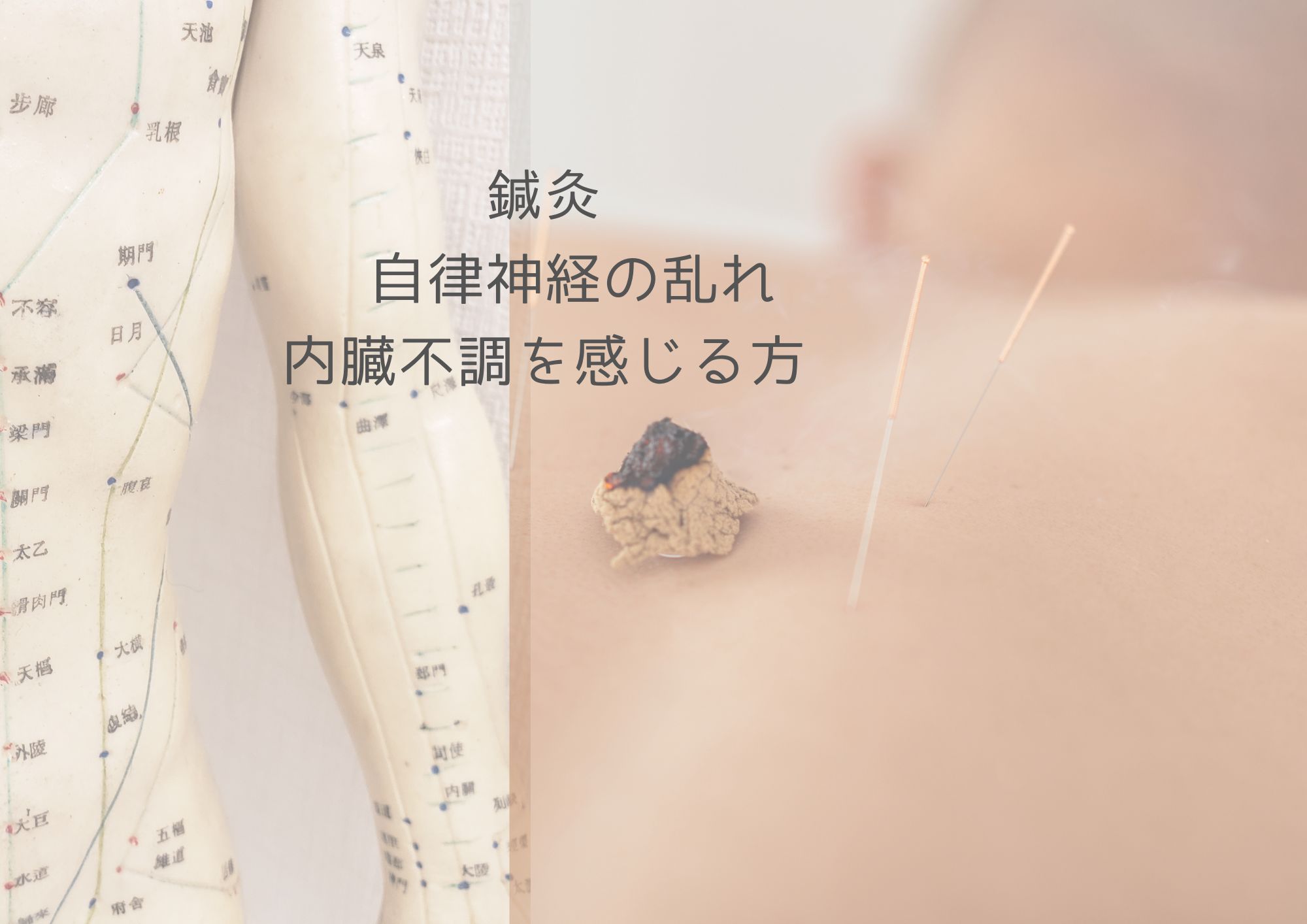 鍼灸　自律神経の乱れや内臓不調を感じる方